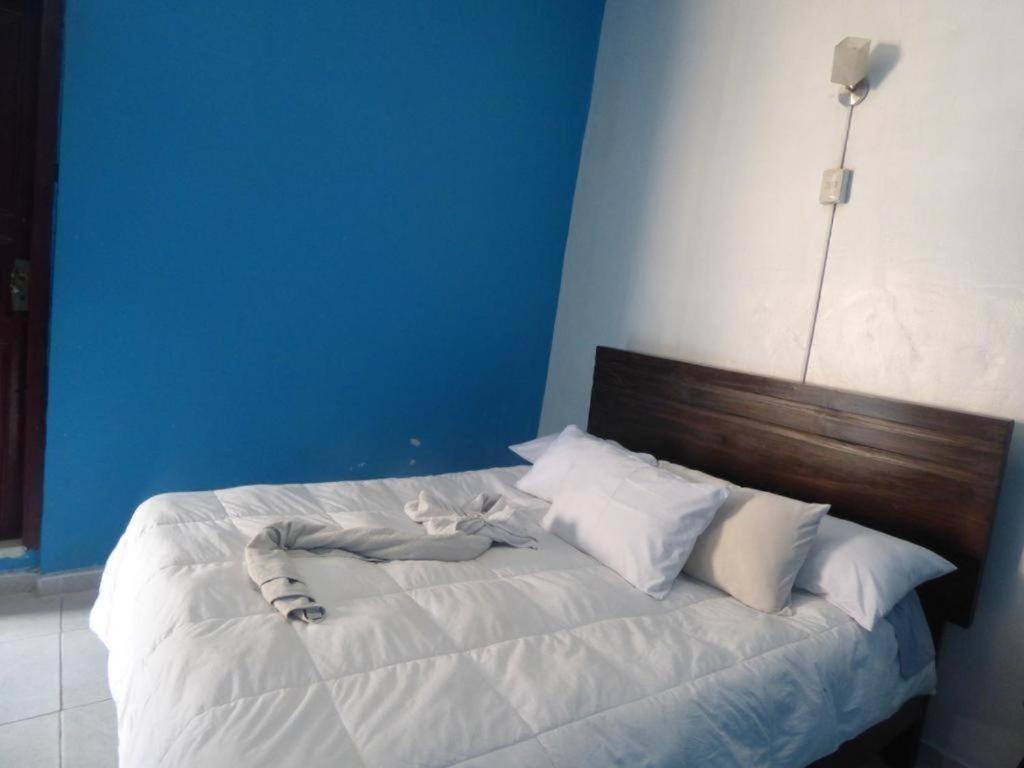 Apartamento Qosqollay Plaza De Armas Cuzco Exterior foto